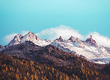 乐鱼体育app官方登录入口——畅享极致体育体验